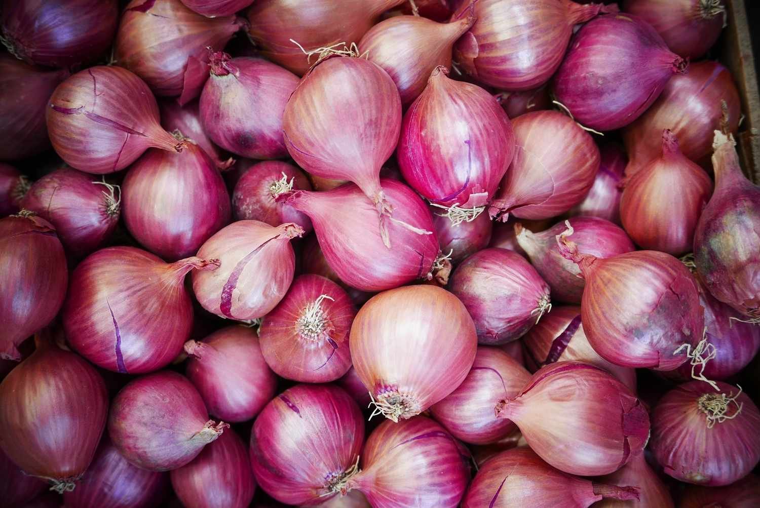 full-frame-shot-of-onions-in-market-stall-562386223-59b97e59845b340010f8d76e