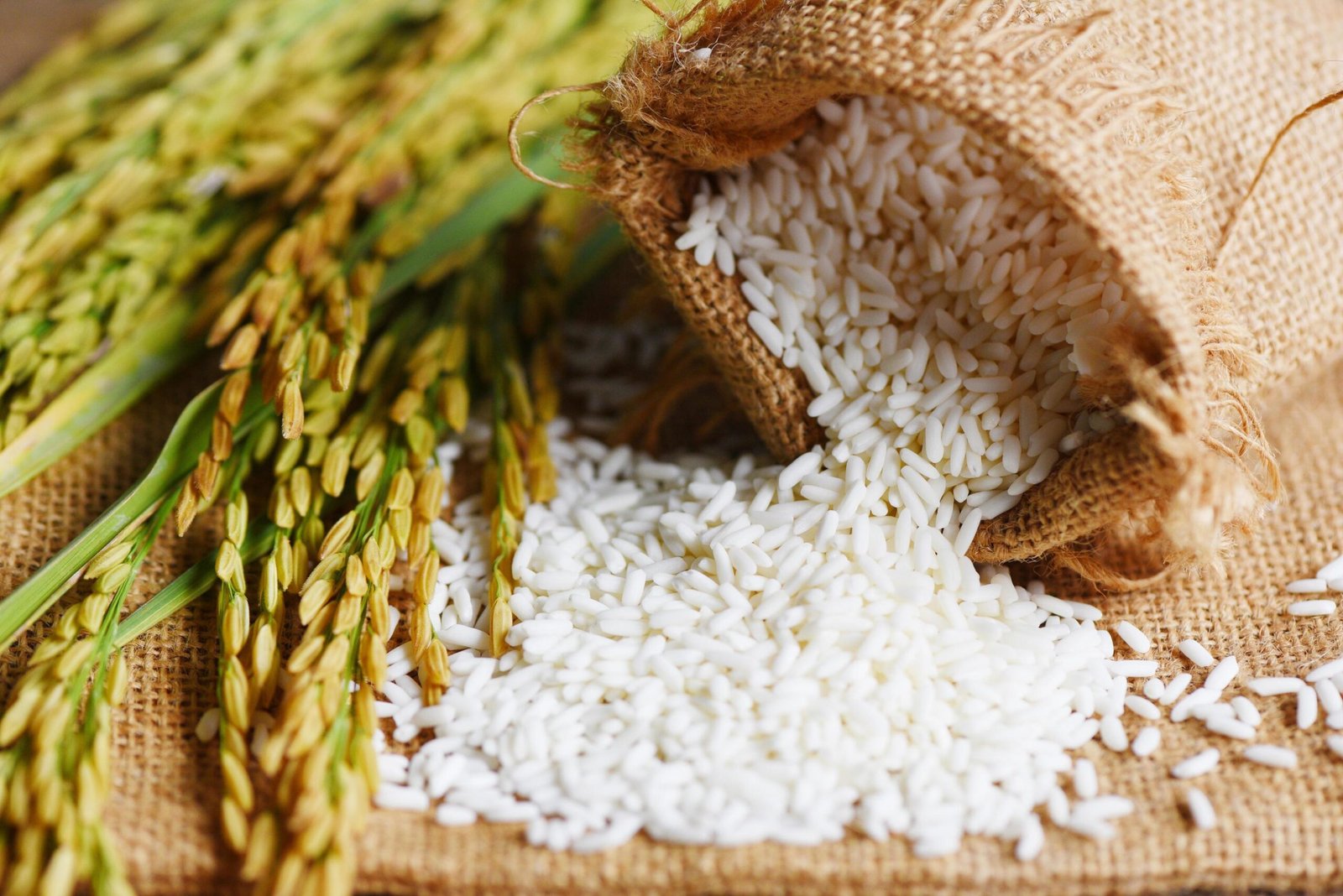 rice